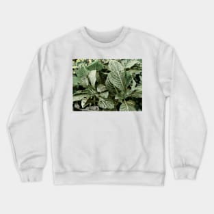 Nature V Crewneck Sweatshirt